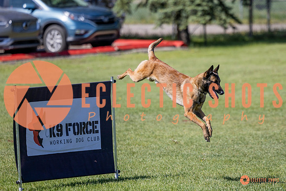 2025-K9Force-MayExams-7318