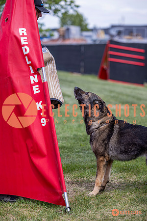 2025-K9Force-MayExams-6898