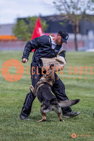 2025-K9Force-MayExams-6988