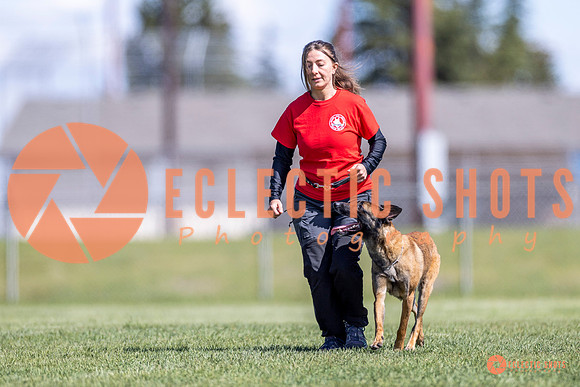 2025-K9Force-MayExams-8174