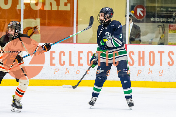 RMC2021-11-12-LloydBobcats-FVT-Birds-6031