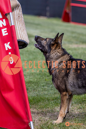 2025-K9Force-MayExams-6887
