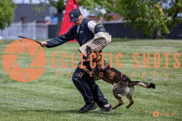 2025-K9Force-MayExams-6417