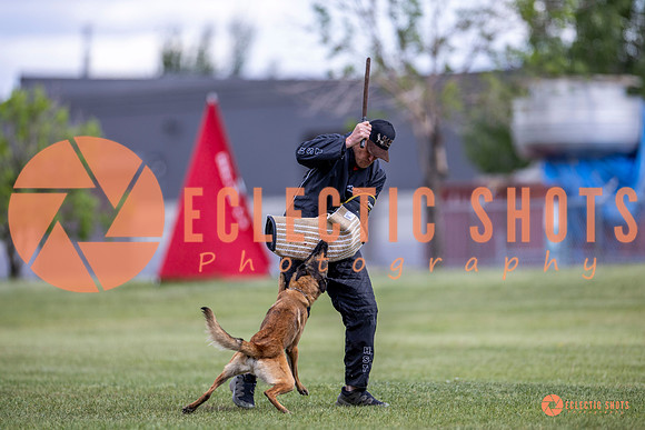 2025-K9Force-MayExams-8553