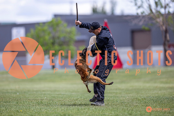 2025-K9Force-MayExams-8524