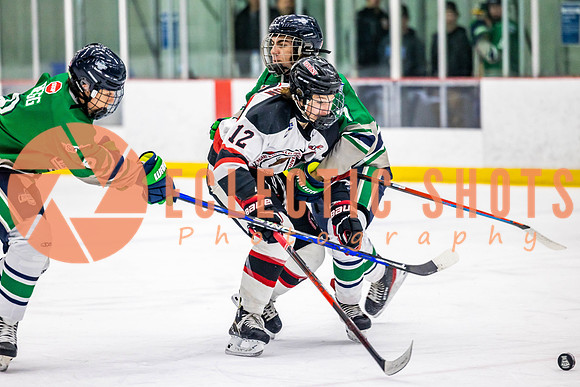 2022.11.11CalBisons-FVTBirds-3953