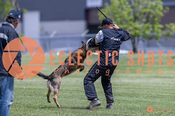 2025-K9Force-MayExams-7336
