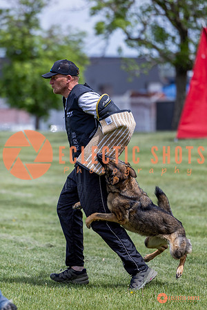 2025-K9Force-MayExams-6423