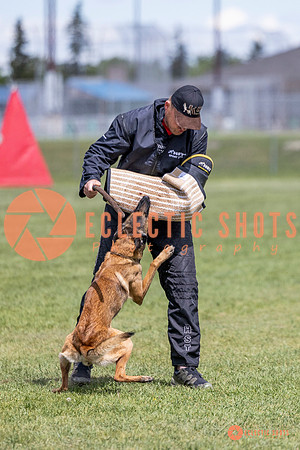 2025-K9Force-MayExams-7726