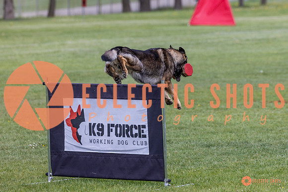 2025-K9Force-MayExams-5894