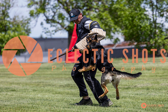 2025-K9Force-MayExams-7230