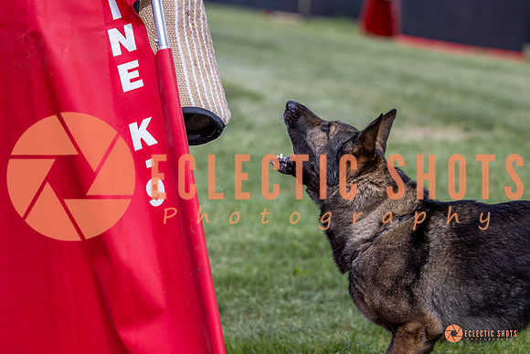 2025-K9Force-MayExams-6877