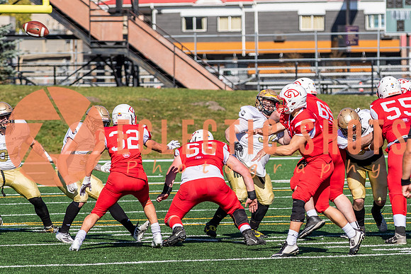CalgaryColts-1462