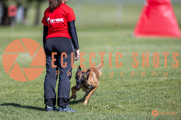 2025-K9Force-MayExams-8225