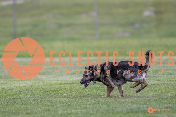 2025-K9Force-MayExams-6658