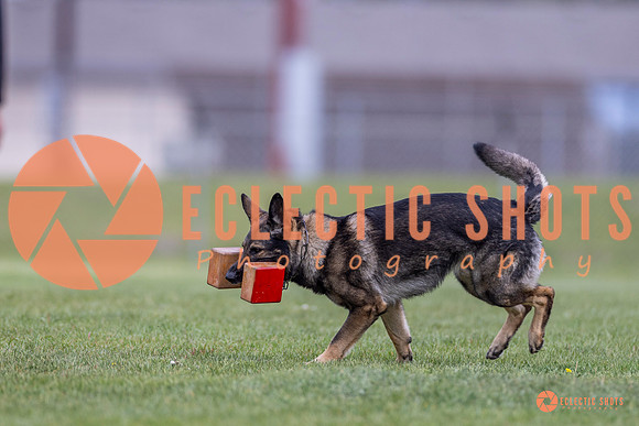 2025-K9Force-MayExams-6625