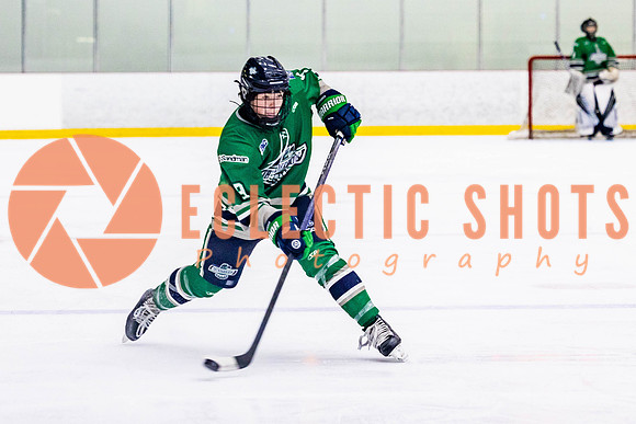 2022.11.12ShParkFlyers-FVTBirds-6999