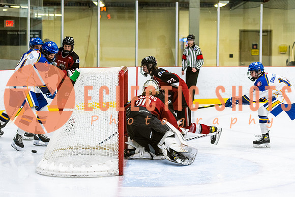 RMC2021-11-13-CalRoyals-VWGiants-7503