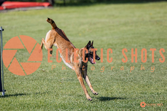 2025-K9Force-MayExams-7320