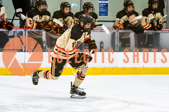 RMC2021-11-12-LloydBobcats-FVT-Birds-5965