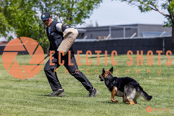 2025-K9Force-MayExams-7220