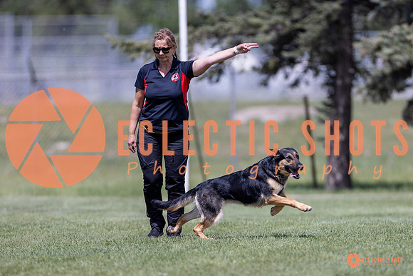 2025-K9Force-MayExams-8003