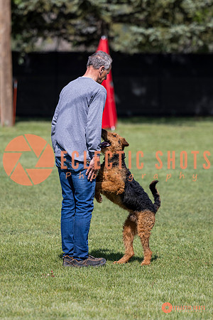2025-K9Force-MayExams-7374