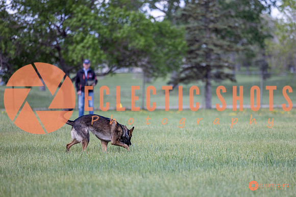 2025-K9Force-MayExams-Kaia-7448