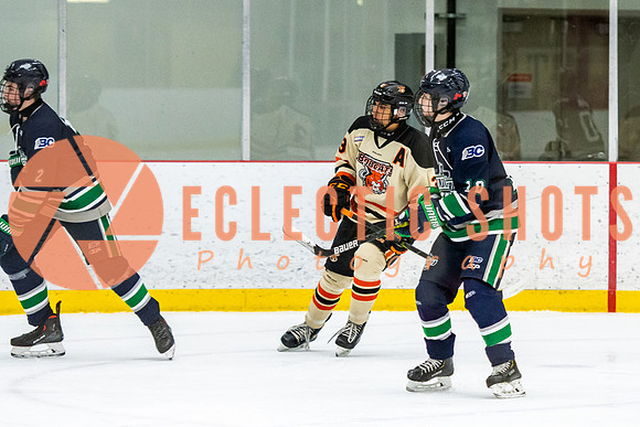 RMC2021-11-12-LloydBobcats-FVT-Birds-5964