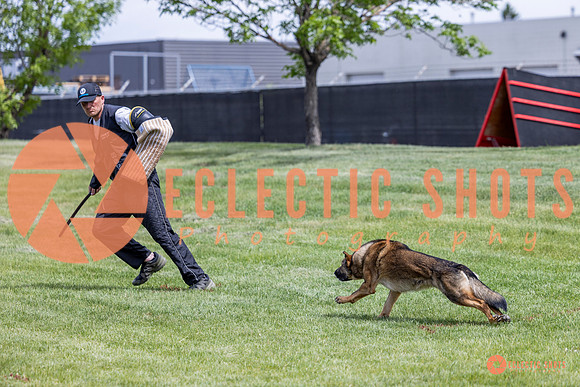2025-K9Force-MayExams-6403