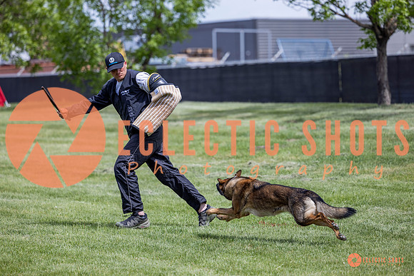 2025-K9Force-MayExams-6409