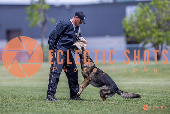2025-K9Force-MayExams-7798