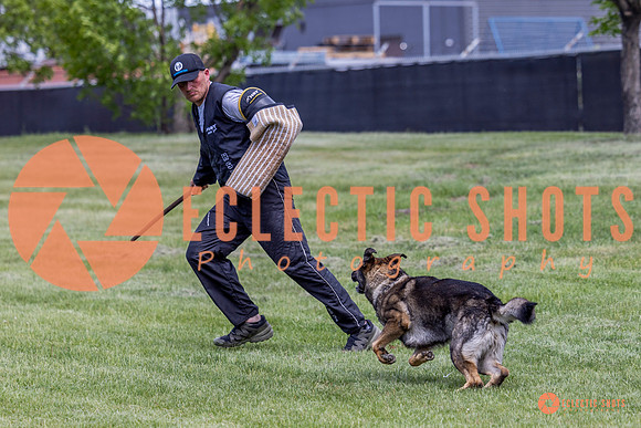 2025-K9Force-MayExams-6931