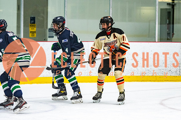 RMC2021-11-12-LloydBobcats-FVT-Birds-5970