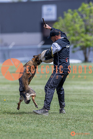 2025-K9Force-MayExams-7334