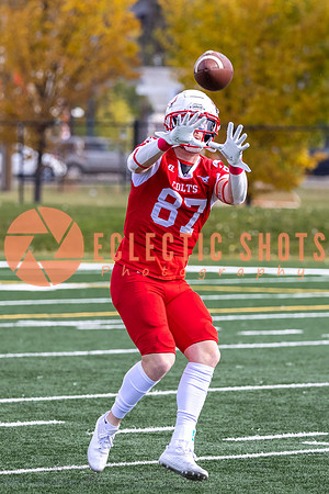 CalgaryColts-9036