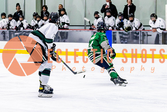 2022.11.12ShParkFlyers-FVTBirds-6963