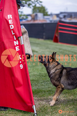 2025-K9Force-MayExams-6876
