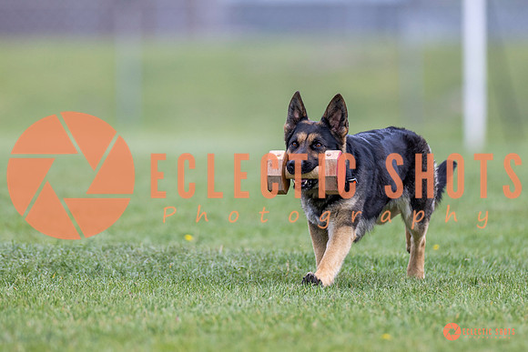 2025-K9Force-MayExams-6343