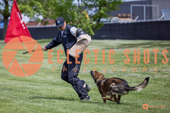 2025-K9Force-MayExams-6412