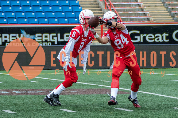CalgaryColts2018-0851