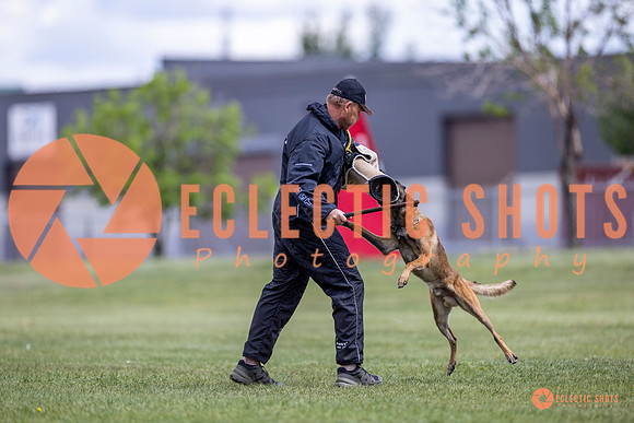 2025-K9Force-MayExams-8538