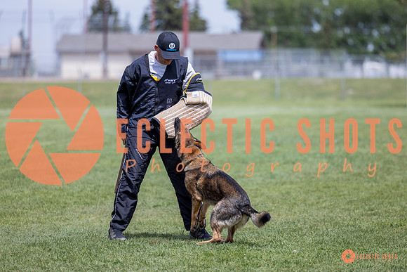 2025-K9Force-MayExams-6451