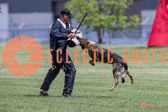 2025-K9Force-MayExams-7351