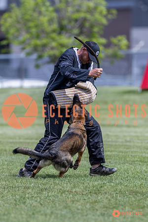 2025-K9Force-MayExams-7370