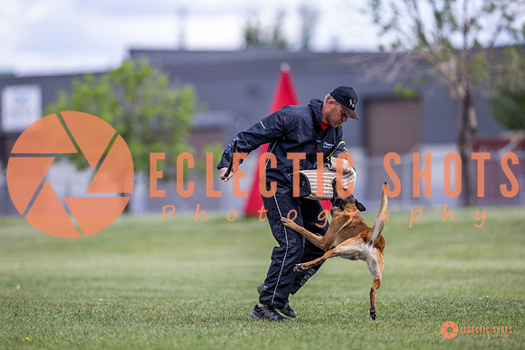 2025-K9Force-MayExams-8547
