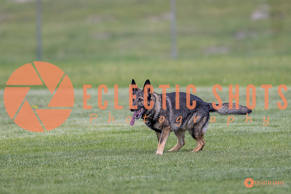 2025-K9Force-MayExams-6670