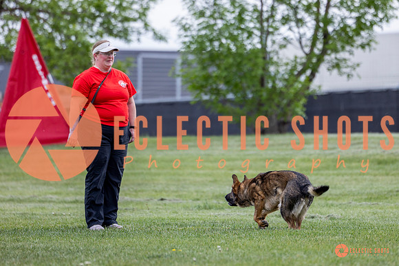 2025-K9Force-MayExams-5479