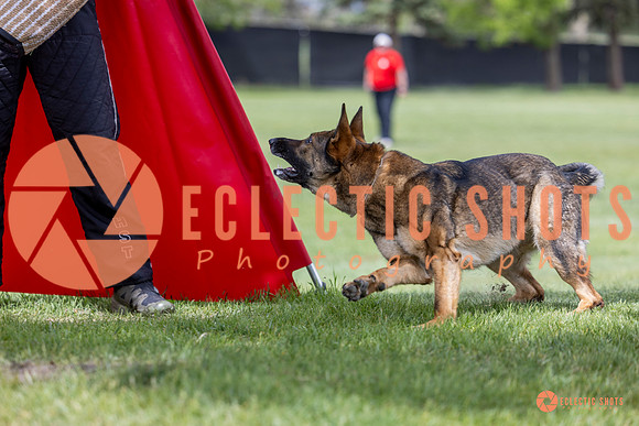 2025-K9Force-MayExams-6300