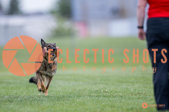 2025-K9Force-MayExams-6129